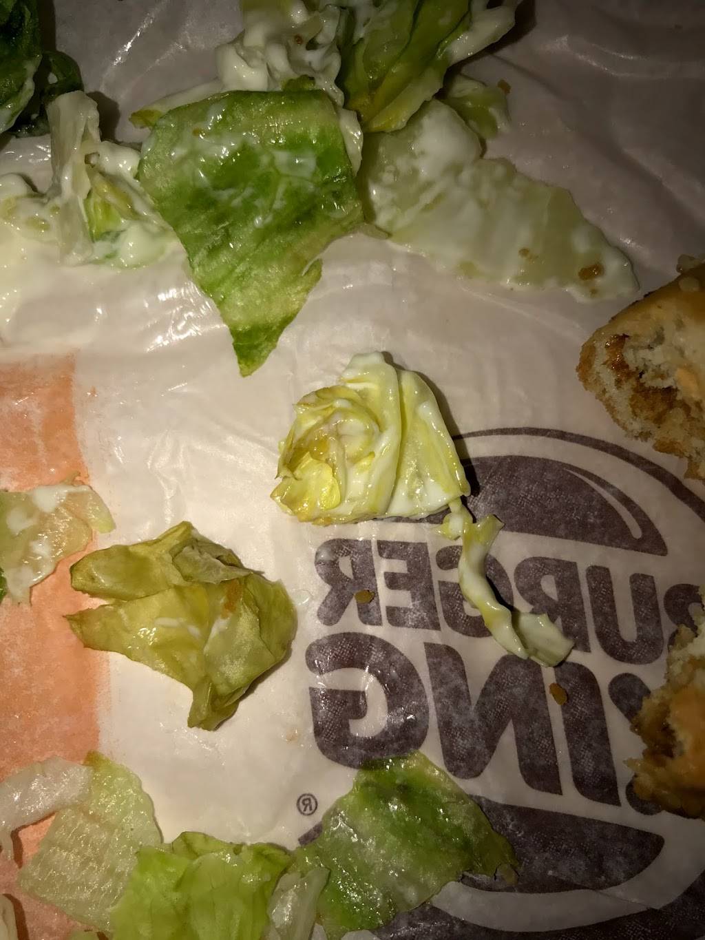 Burger King | restaurant | 38611 US Hwy 19 N, Tarpon Springs, FL 34689, USA | 7279351368 OR +1 727-935-1368