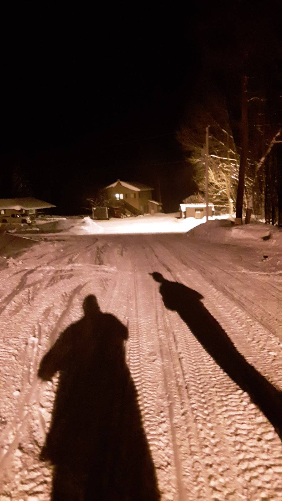 Root Cellar Lodging | restaurant | N11071 E Shore Rd, Marenisco, MI 49947, USA | 9068423535 OR +1 906-842-3535