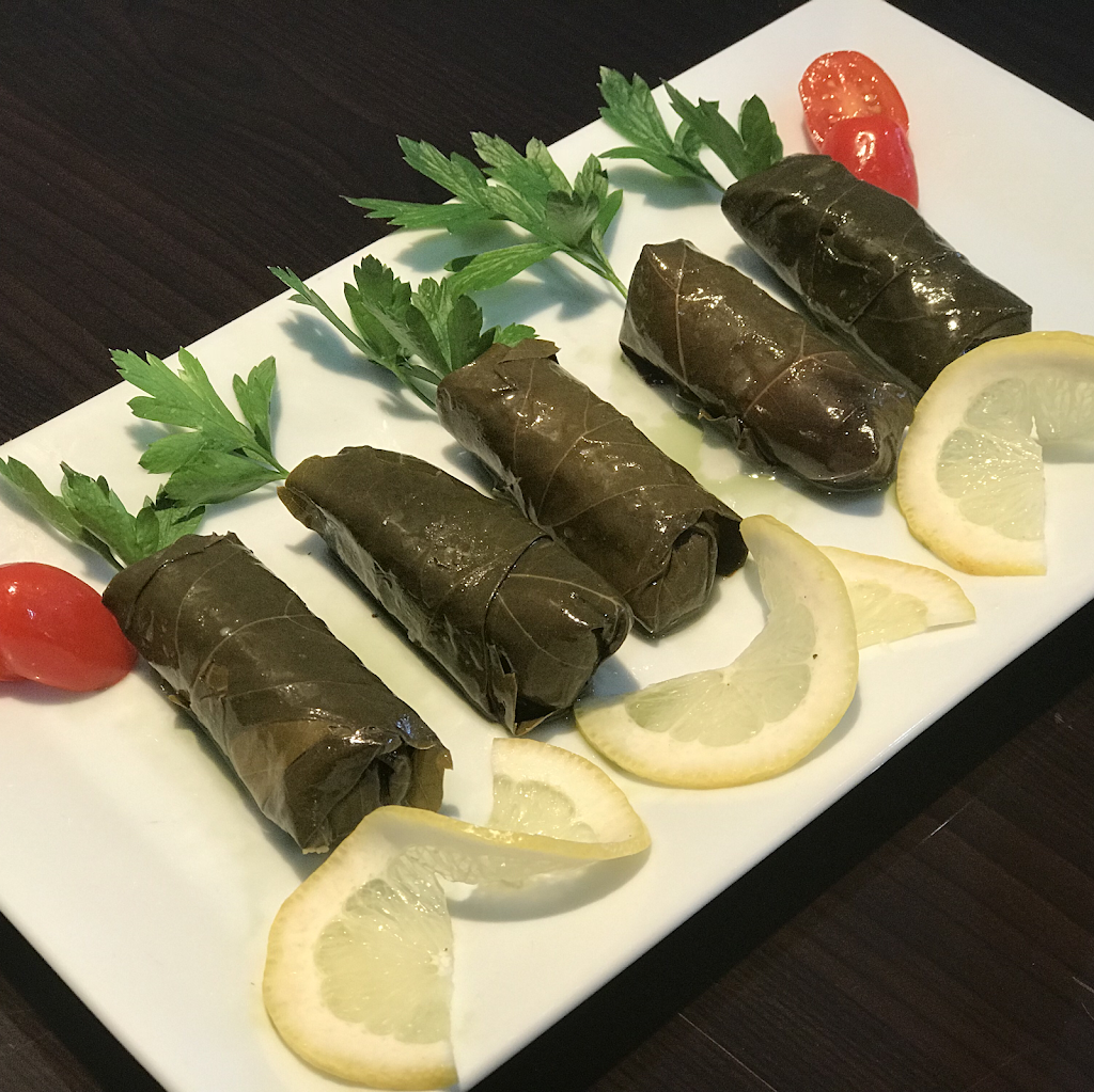 Mez Doner Turkish Gyro | restaurant | 79 Union Blvd, Totowa, NJ 07512, USA | 9736897769 OR +1 973-689-7769