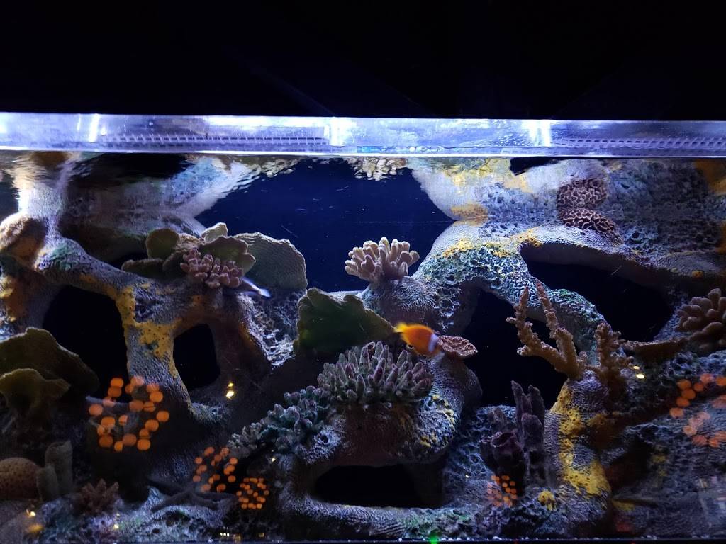 Silver Spoon Thai Restaurant & Bar | restaurant | 3828 196th St SW, Lynnwood, WA 98036, USA | 4259673255 OR +1 425-967-3255