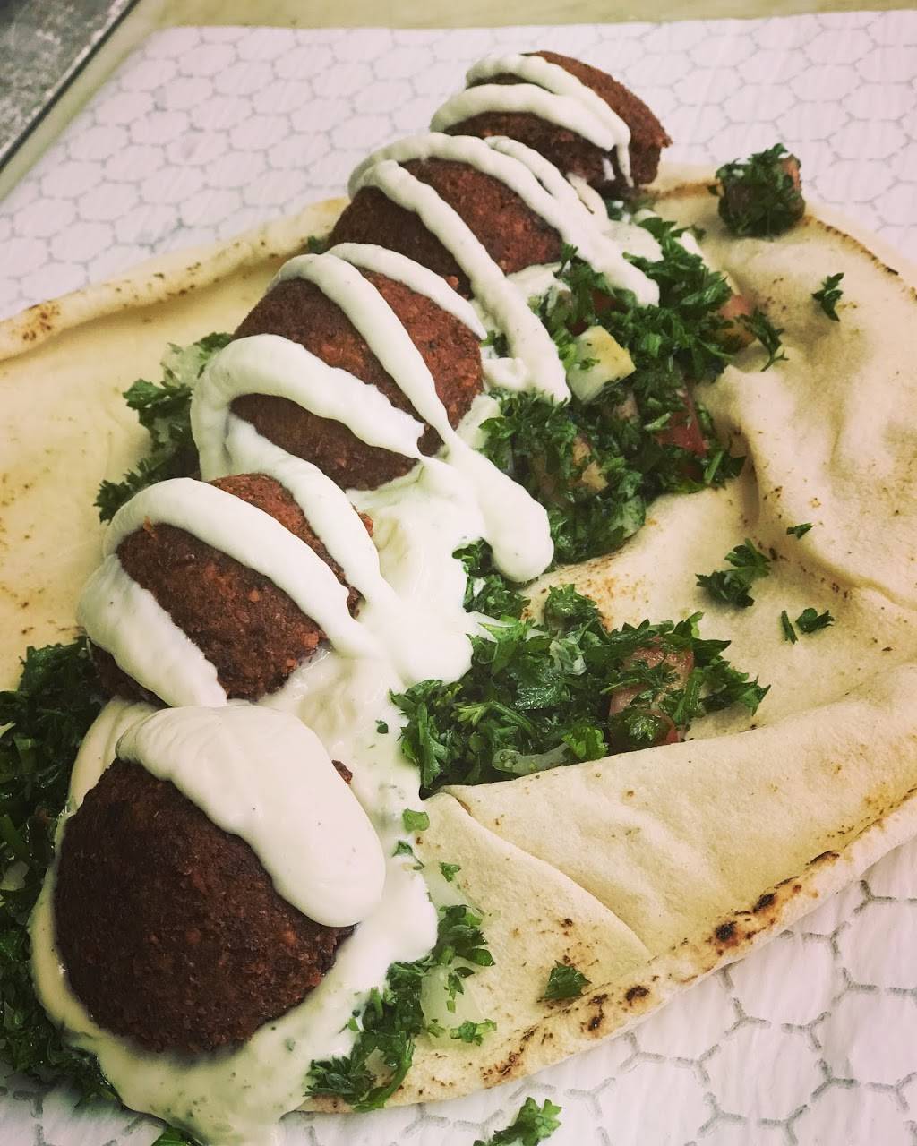 Shawarmas Diana | restaurant | 13205 SW 137th Ave, Miami, FL 33186, USA | 7868058356 OR +1 786-805-8356