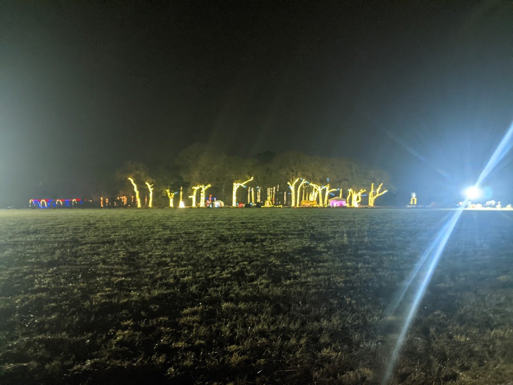 Bama Slam Saloon | restaurant | Co Rd 156, New Brockton, AL 36351, USA | 8779077687 OR +1 877-907-7687