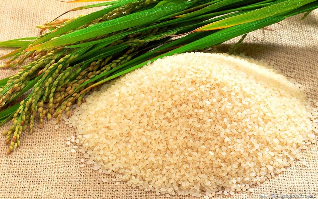 Виетнамски ресторант "Ан Нам фъ" | restaurant | 6510 Roosevelt Way NE, Seattle, WA 98115, USA | 2064662179 OR +1 206-466-2179