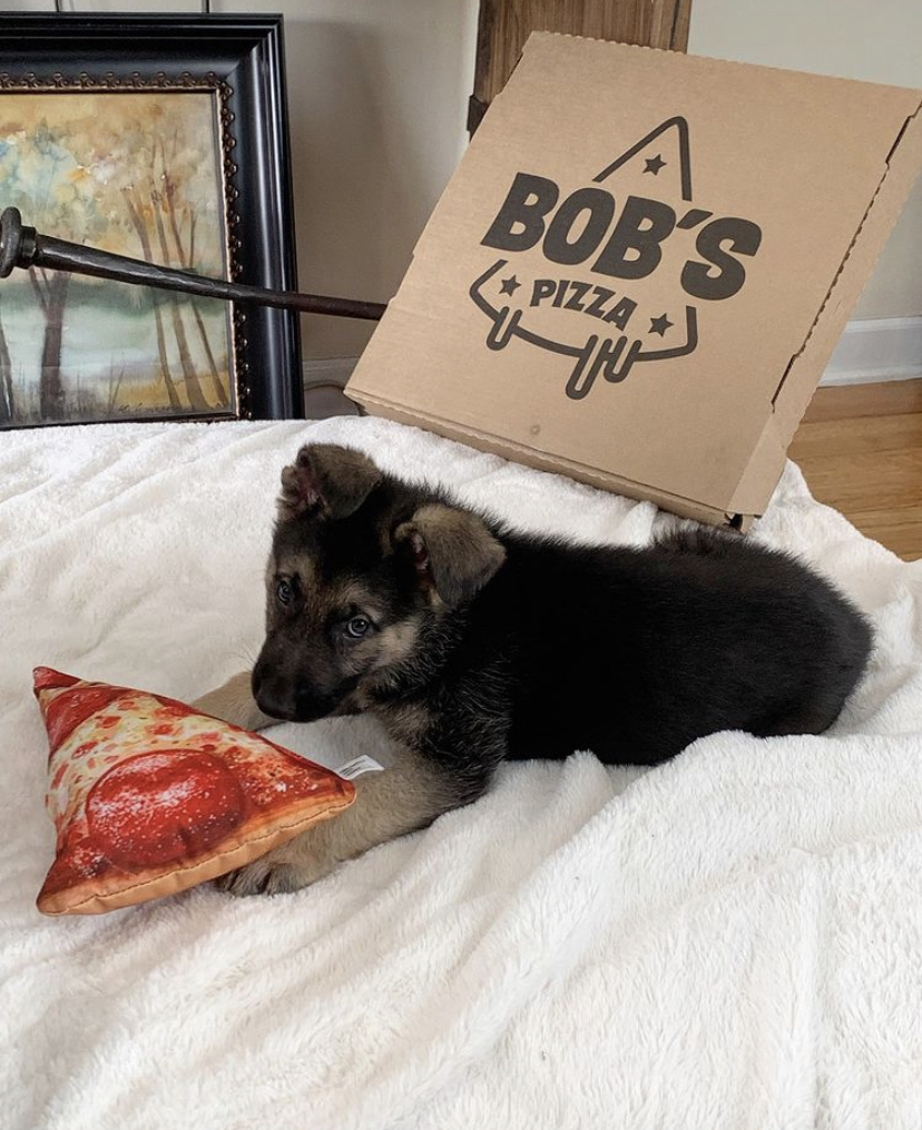 Bobs Pizza | West Loop | restaurant | 838 W Kinzie St, Chicago, IL 60642, USA | 3126679110 OR +1 312-667-9110