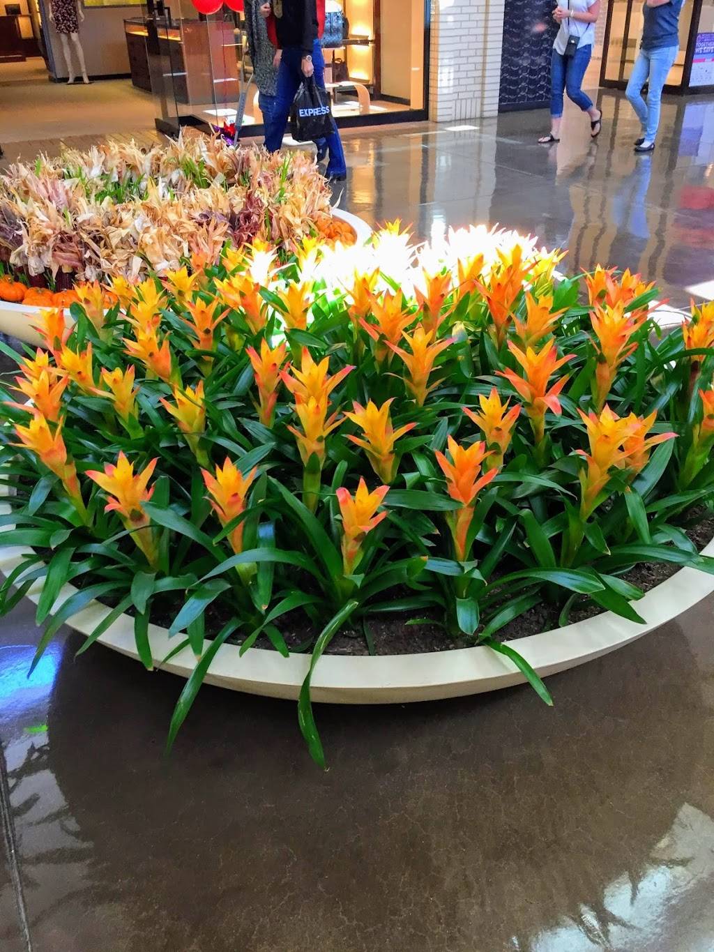 Seasons 52 | restaurant | NorthPark Center, 8687 N Central Expy, Dallas, TX 75225, USA | 2143615252 OR +1 214-361-5252