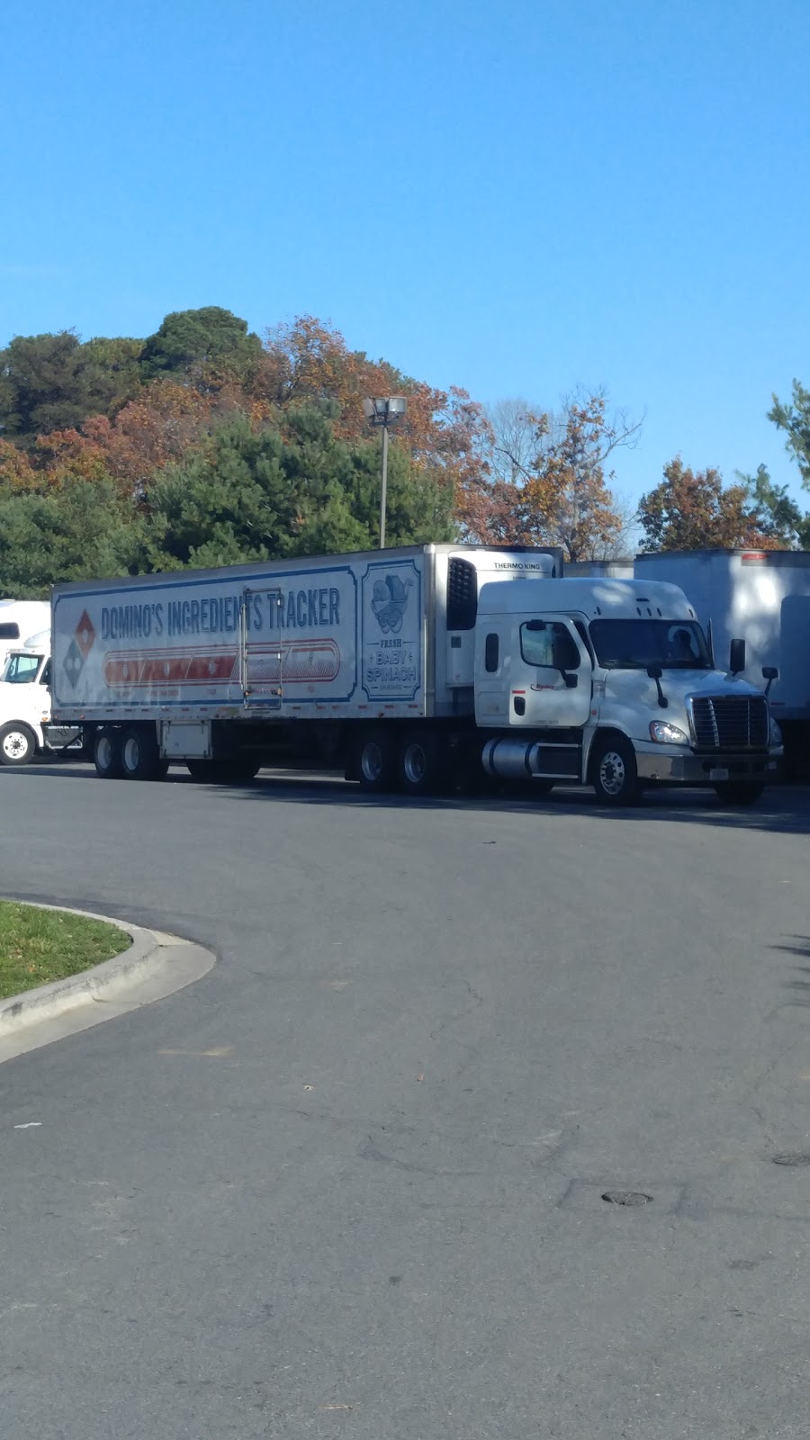 Dominos | restaurant | 8271 Anderson Ct, Odenton, MD 21113, USA | 4103050535 OR +1 410-305-0535