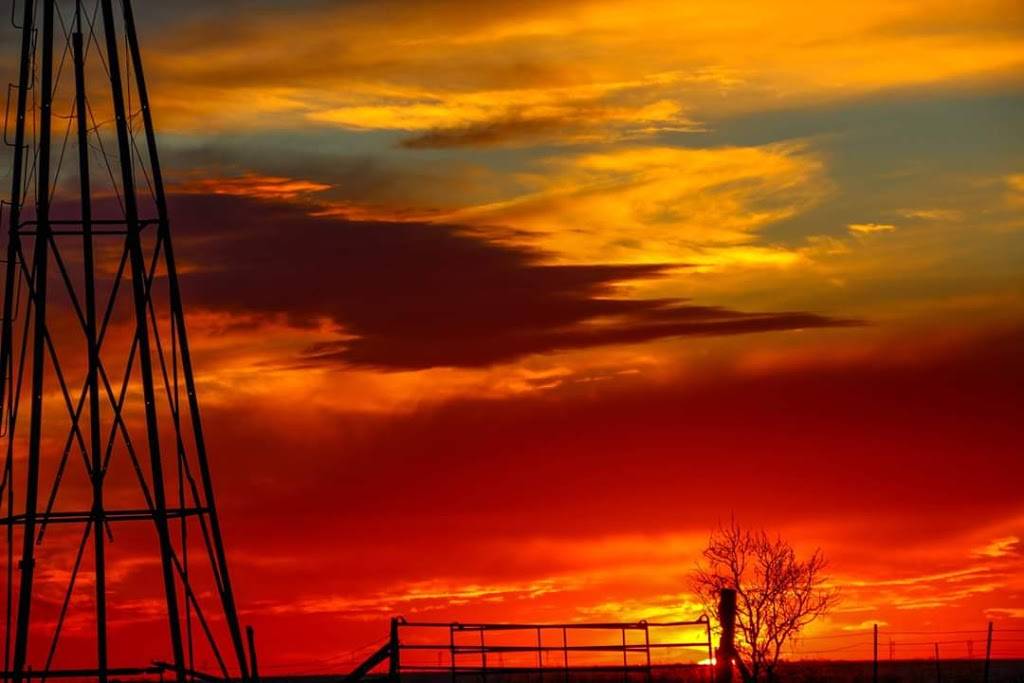 Next Door Bar | restaurant | 6530 Charles Page Blvd, Tulsa, OK 74127, USA | 9182456003 OR +1 918-245-6003