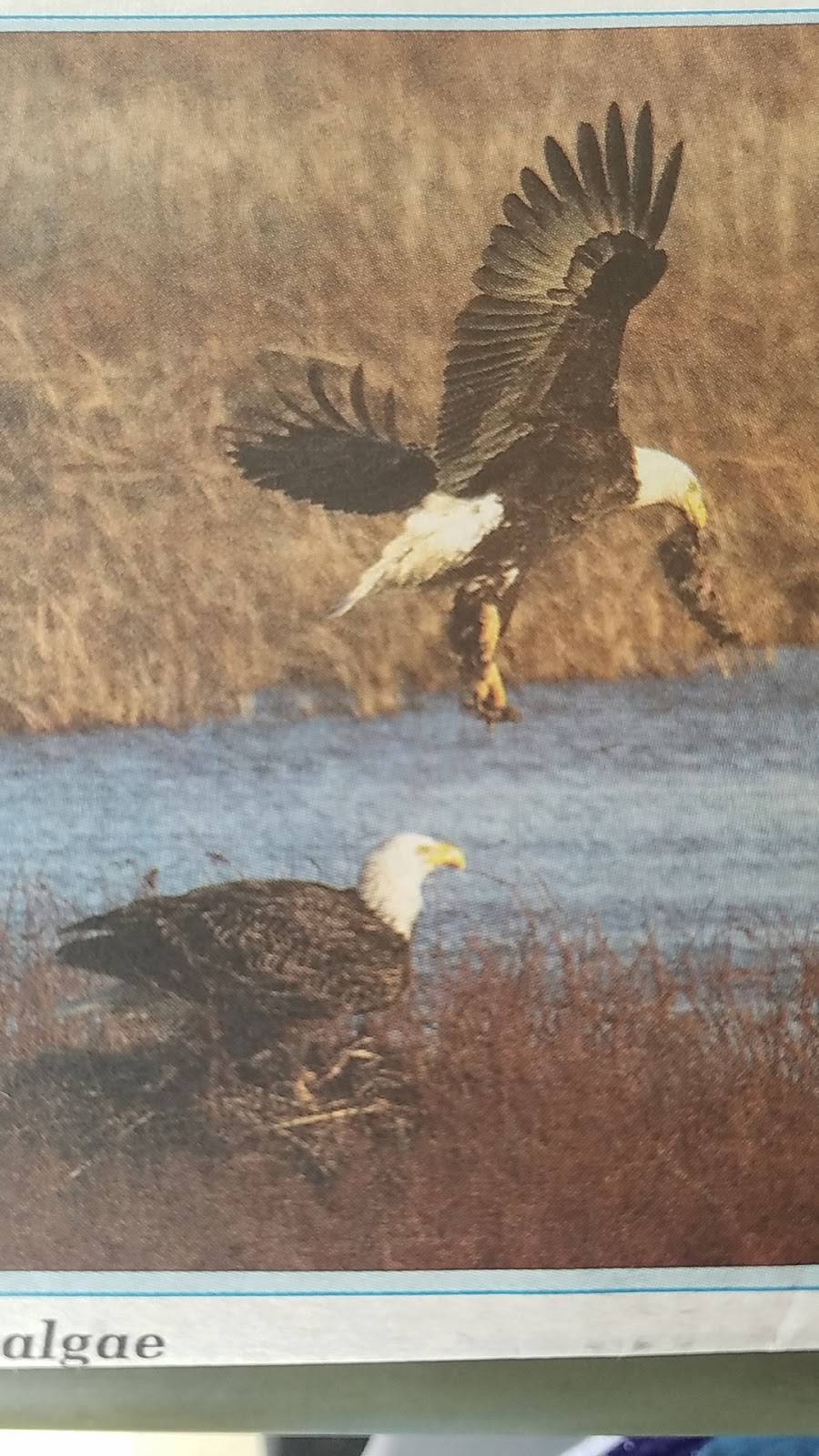 Subway | restaurant | 3107 Navarre Ave, Oregon, OH 43616, USA | 4196937827 OR +1 419-693-7827