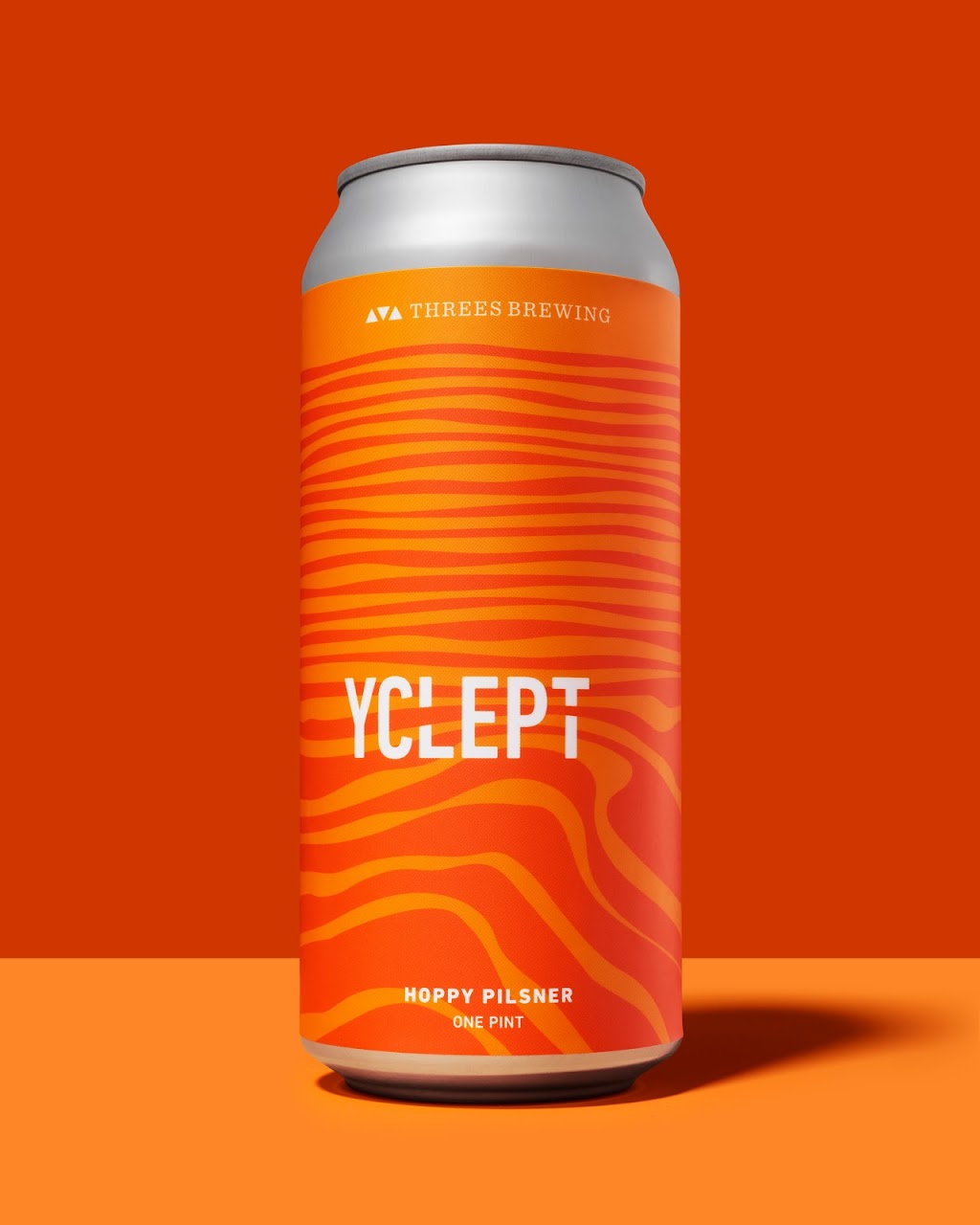 Threes Brewing | restaurant | 333 Douglass St, Brooklyn, NY 11217, USA | 7185689673 OR +1 718-568-9673