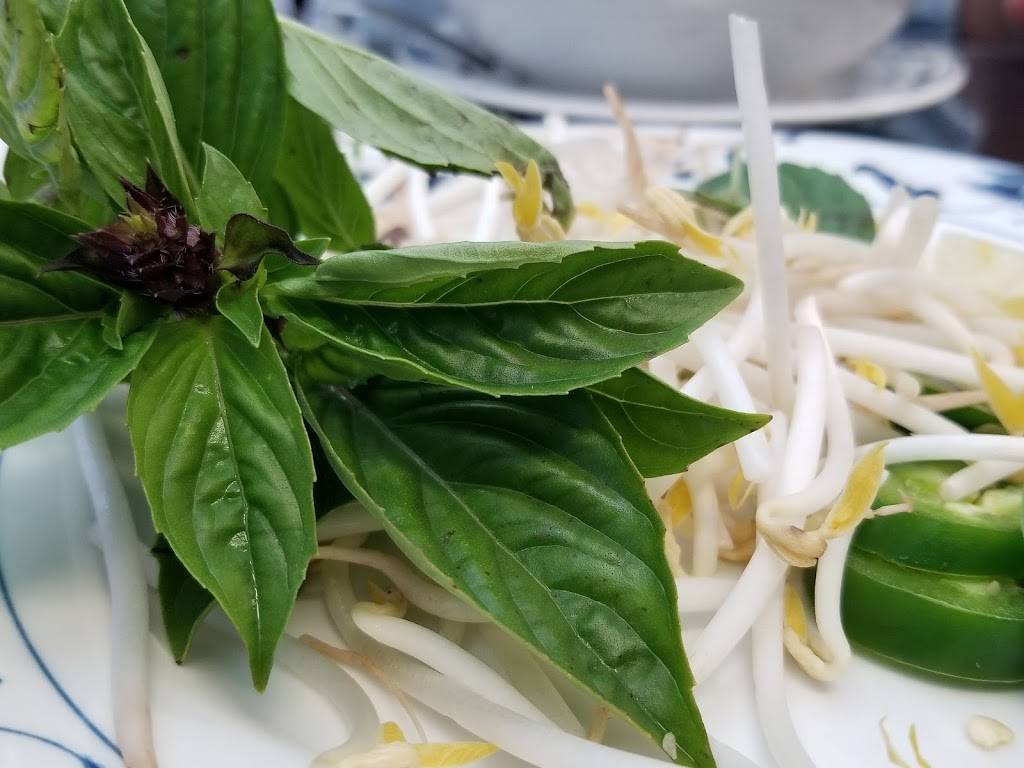 Trang Viet Cuisine | restaurant | 230 E Bearss Ave, Tampa, FL 33613, USA | 8139791464 OR +1 813-979-1464