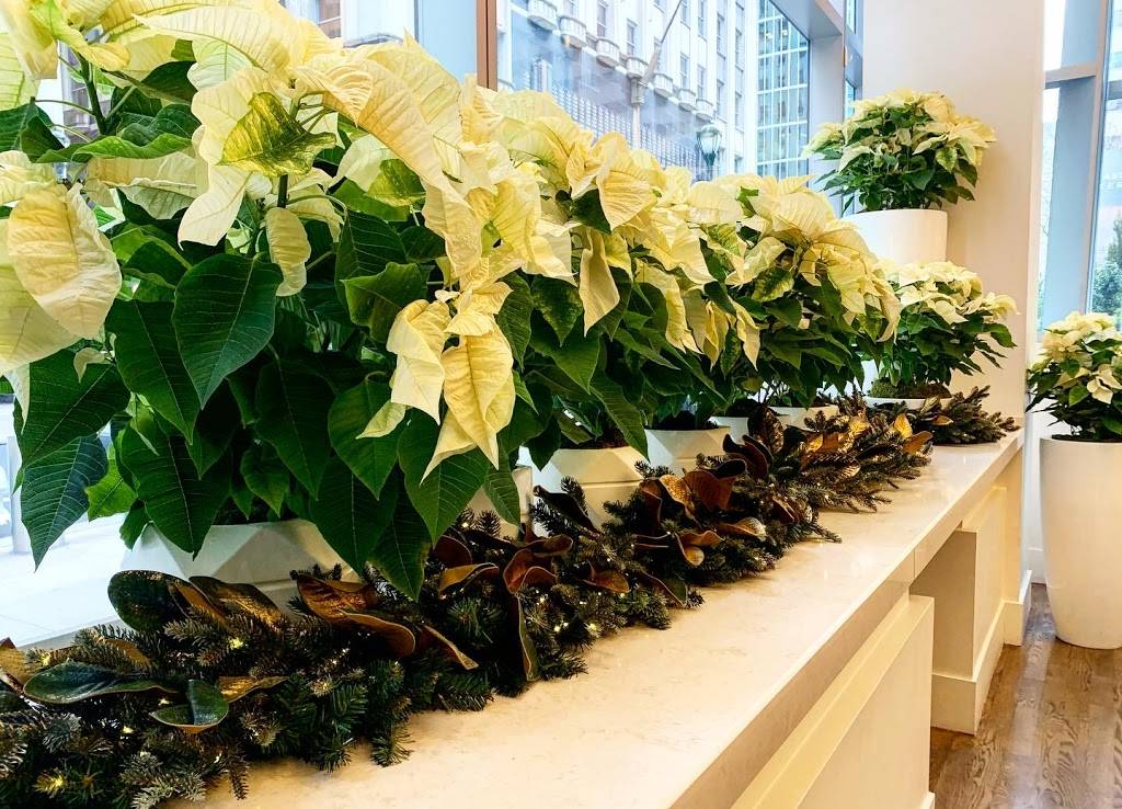 Chops Restaurant and Bar | restaurant | 1701 John F Kennedy Blvd, Philadelphia, PA 19103, USA | 2155677111 OR +1 215-567-7111