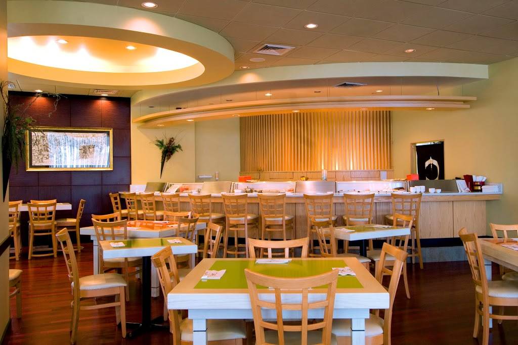 Shiro of Japan | restaurant | 80-40 Cooper Ave, Ridgewood, NY 11385, USA | 7183268704 OR +1 718-326-8704