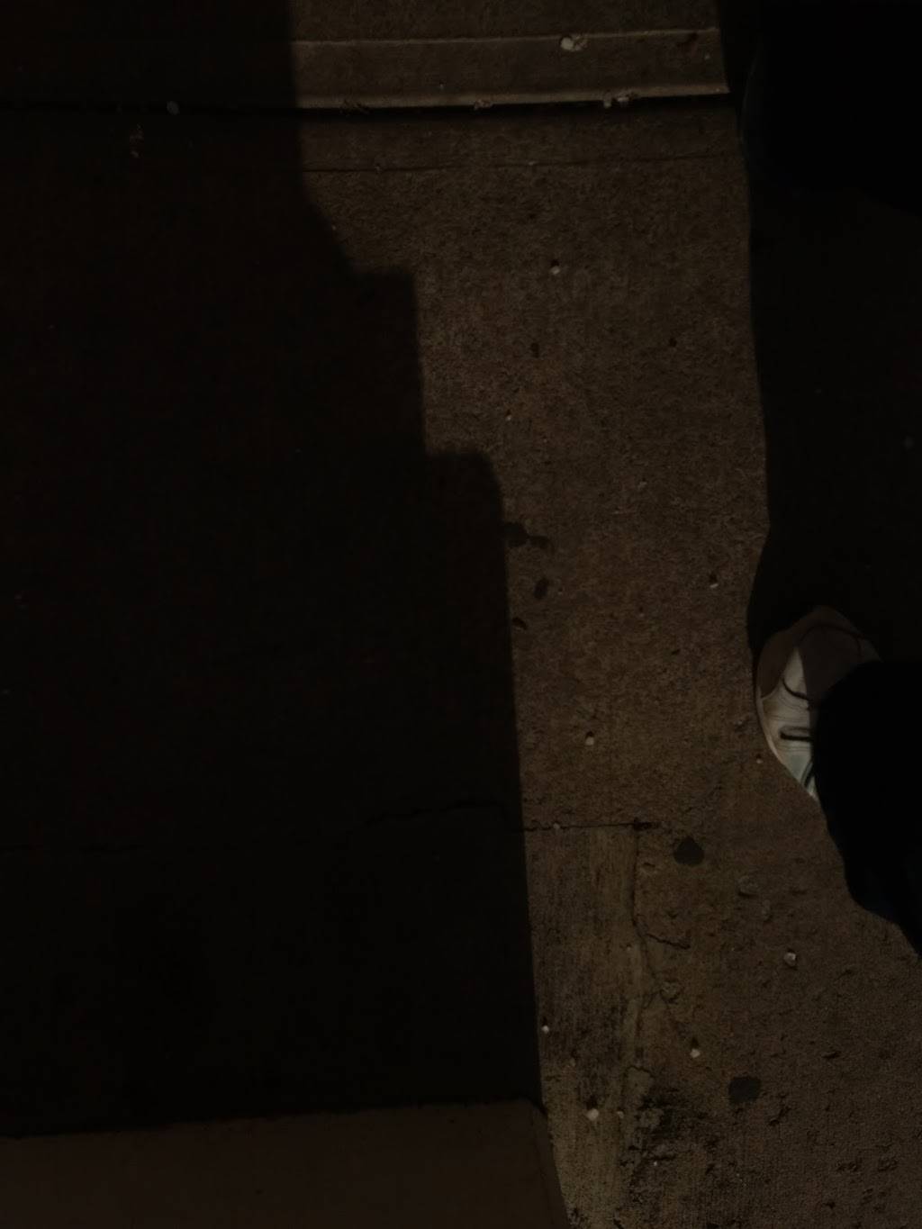 Ritas Italian Ice & Frozen Custard | restaurant | 286 US-206, Flanders, NJ 07836, USA | 9735847482 OR +1 973-584-7482