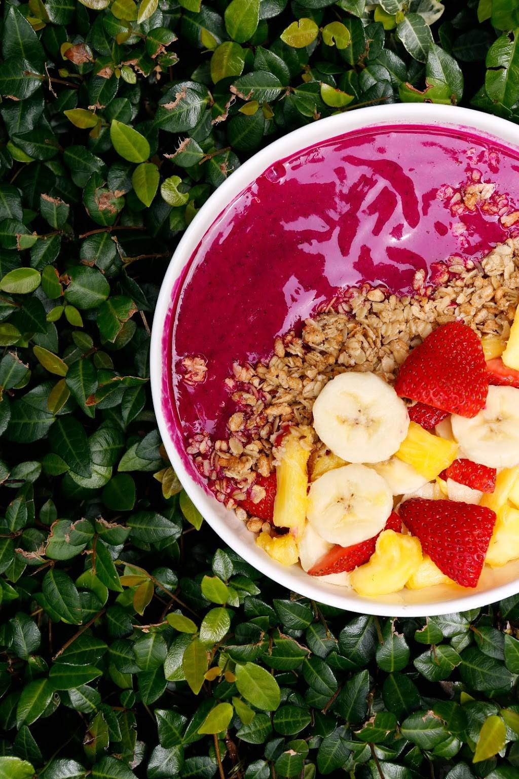 FITNESS BAR at Fit2Run | restaurant | 2223 N Westshore Blvd, Tampa, FL 33607, USA | 8138732786 OR +1 813-873-2786