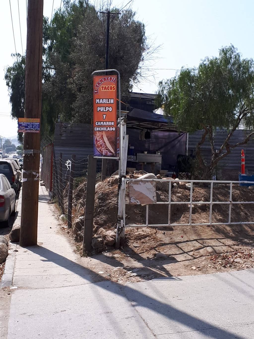 El Tamacuil "Tacos" | restaurant | Calle Tecate 20B, Río Tijuana 3a. Etapa, Rio Tijuana 3ra Etapa, 22226 Tijuana, B.C., Mexico | 016642648259 OR +52 664 264 8259