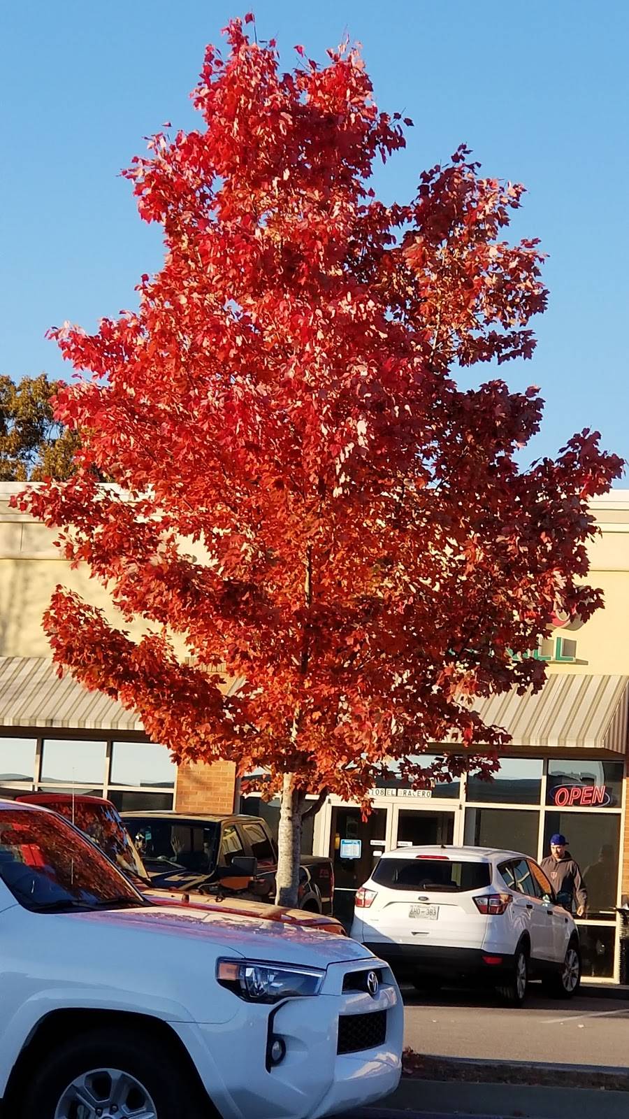 El Bracero Of Clarksville Madison Street | restaurant | 1769 Madison St, Clarksville, TN 37043, USA | 9316470780 OR +1 931-647-0780