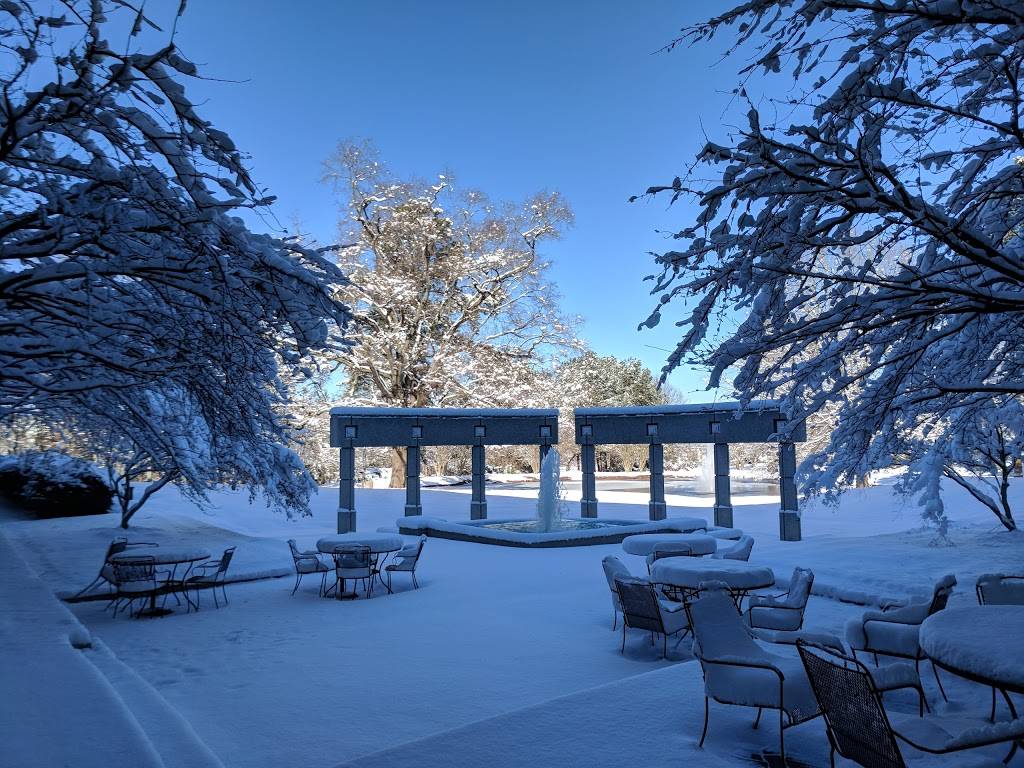 Luncheonette | restaurant | 100 Europa Dr, Chapel Hill, NC 27517, USA | 9842340644 OR +1 984-234-0644