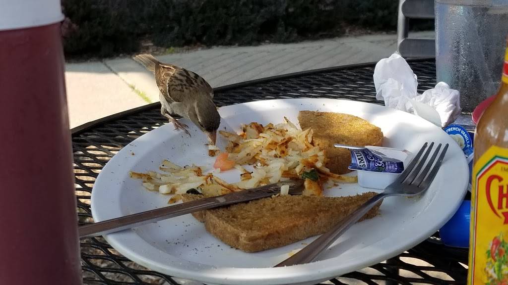 Lynns on First | restaurant | 180 N 1st St, Brighton, MI 48116, USA | 8102275284 OR +1 810-227-5284