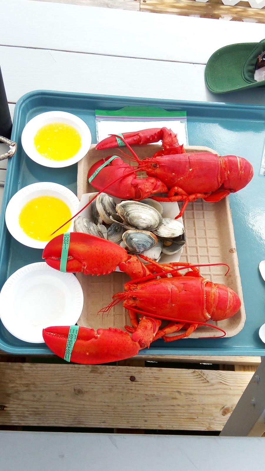 South Bristol Fisherman’s Co-op | restaurant | 35 Fire Rd 16, South Bristol, ME 04568, USA | 2076448224 OR +1 207-644-8224