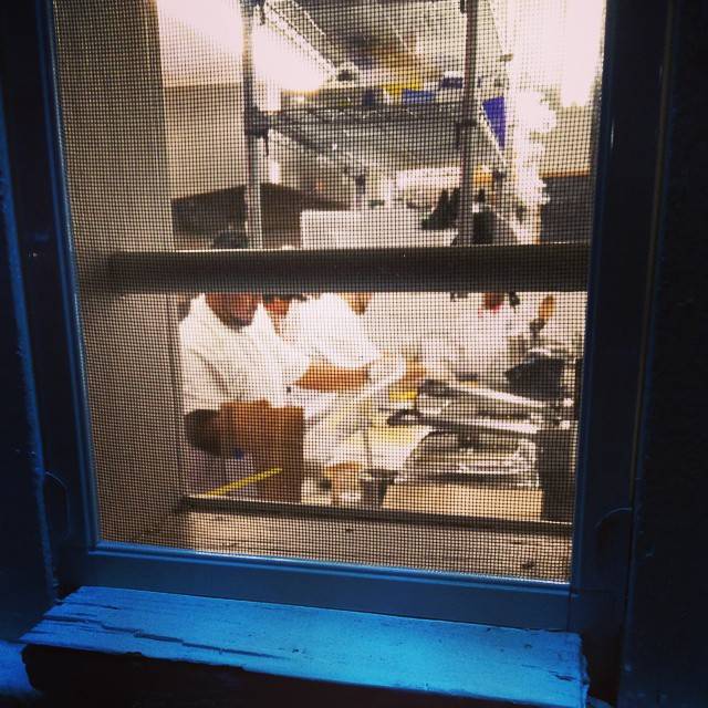 C. Señor | restaurant | 330 W Davis St, Dallas, TX 75208, USA | 2149414766 OR +1 214-941-4766