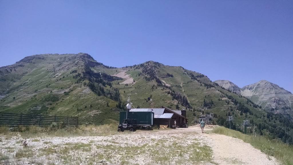 Bearclaw Cabin | restaurant | 8841 N Alpine Loop Scenic Byway, Sundance, UT 84604, USA | 8012234157 OR +1 801-223-4157