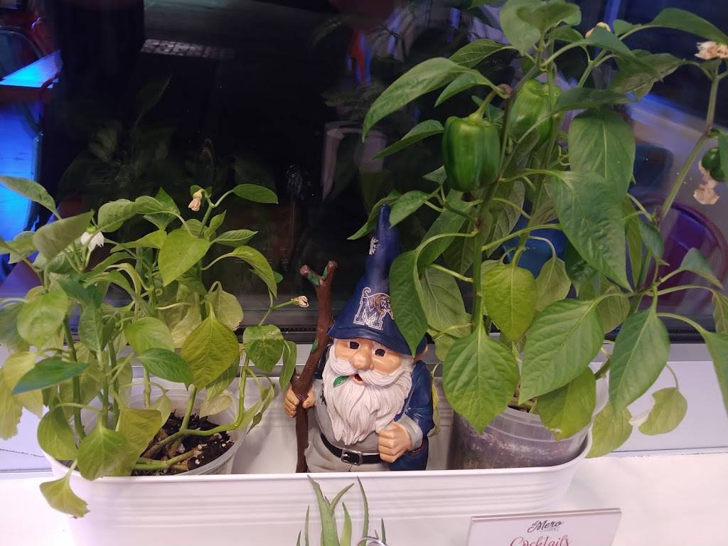 El Mero Taco | restaurant | 8100 Macon Station Suite 102, Cordova, TN 38018, USA | 9013081661 OR +1 901-308-1661