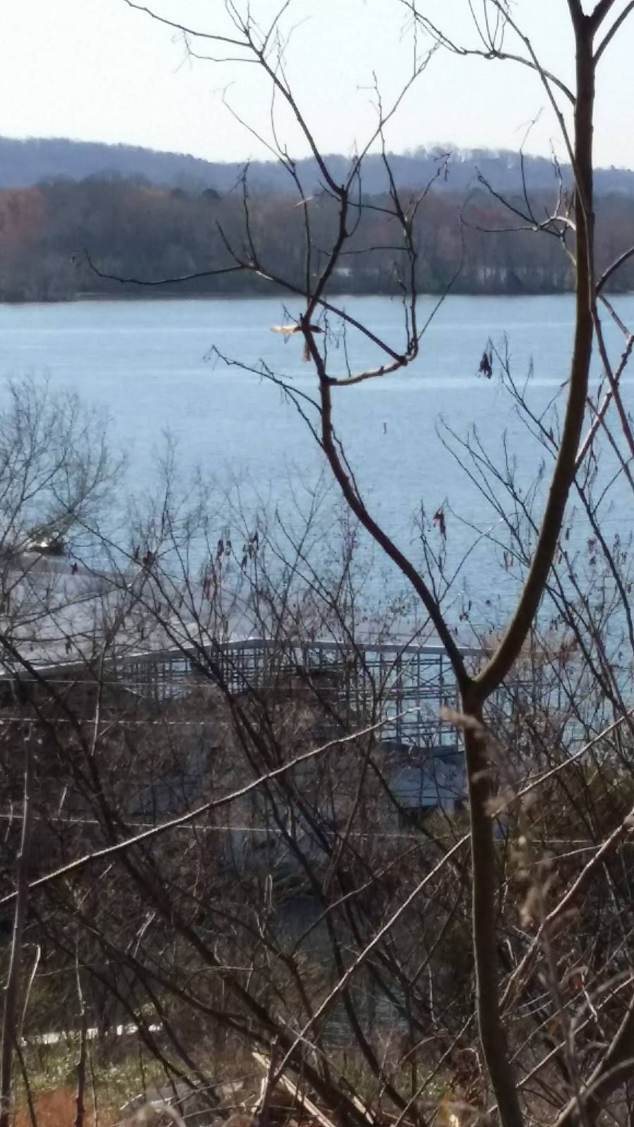 Harbor Lights Marina | restaurant | 9718 Hixson Pike, Soddy-Daisy, TN 37379, USA | 4238425391 OR +1 423-842-5391