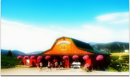 Blueberry Hills Farm | restaurant | 1315 Washington St, Manson, WA 98831, USA | 5096872379 OR +1 509-687-2379