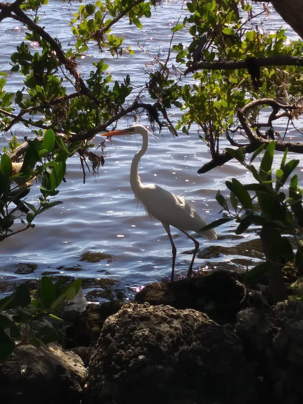 St Pierre Take Out Food | meal takeaway | 605 W Mowry Dr, Homestead, FL 33030, USA | 3052451745 OR +1 305-245-1745