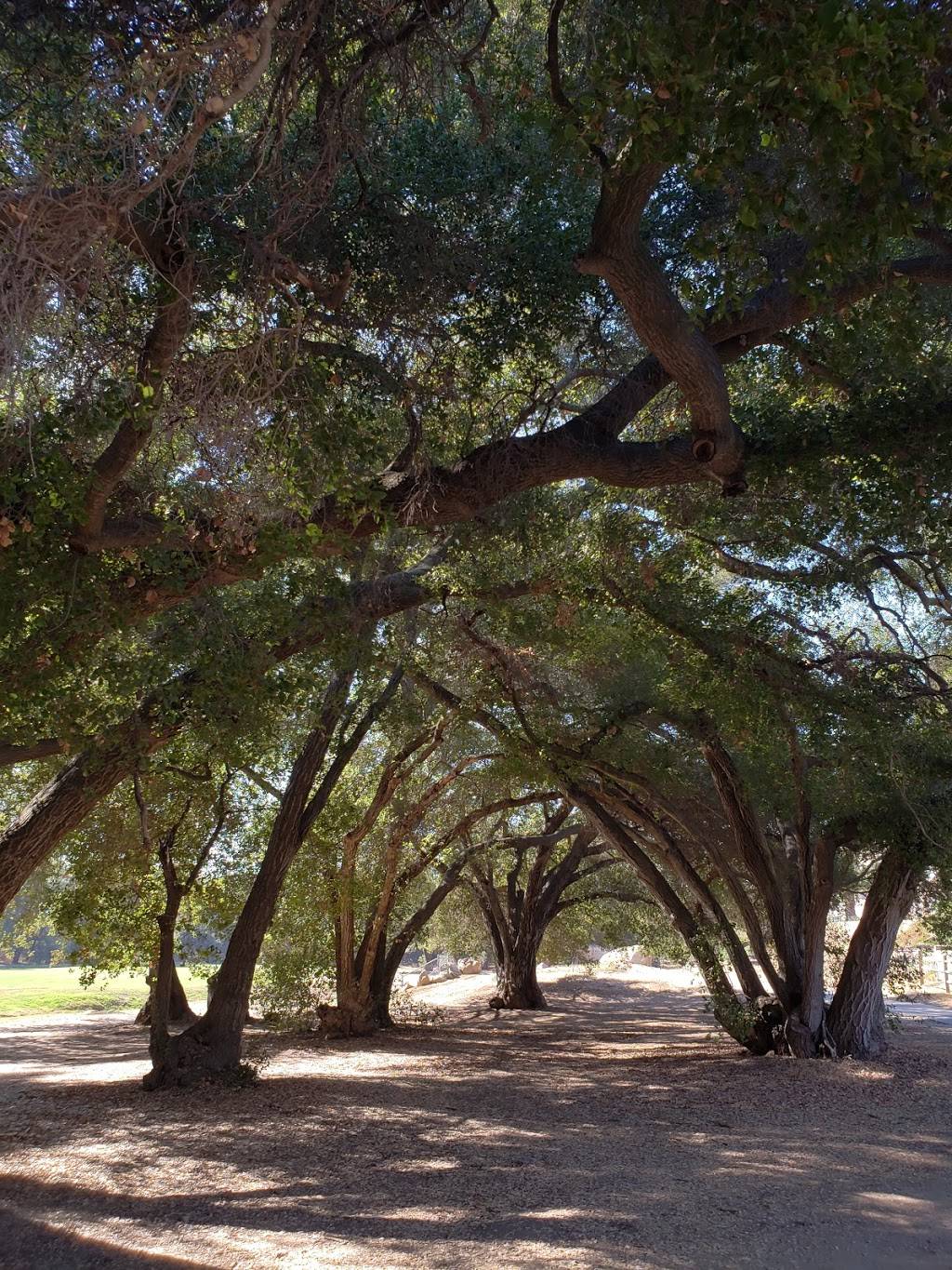 Woods Valley Golf Club | restaurant | 14616 Woods Valley Rd, Valley Center, CA 92082, USA | 7607513007 OR +1 760-751-3007