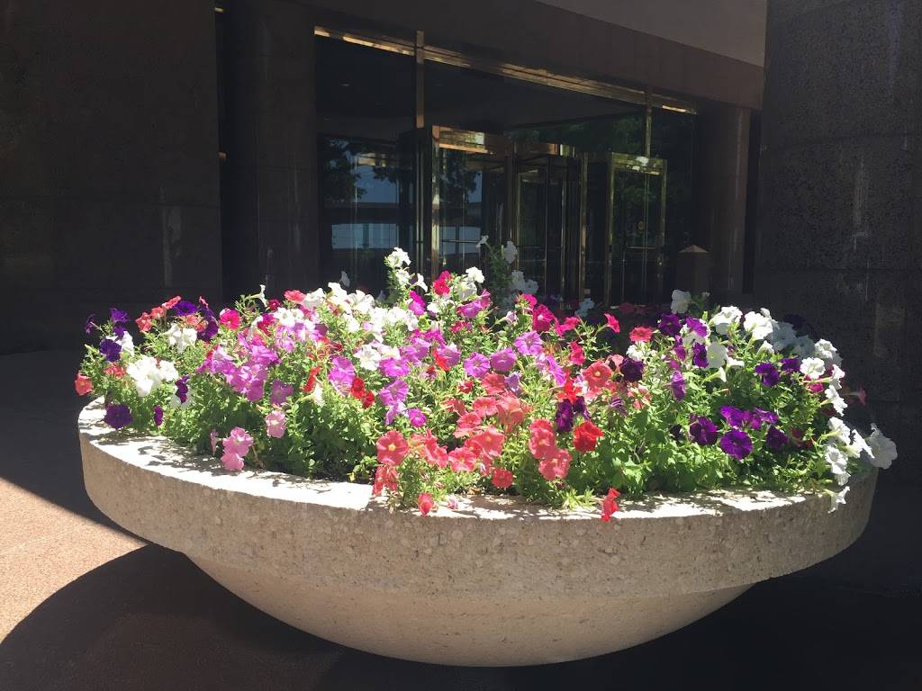 Olives | restaurant | 1320 S University Dr # 108, Fort Worth, TX 76107, USA | 8178774055 OR +1 817-877-4055