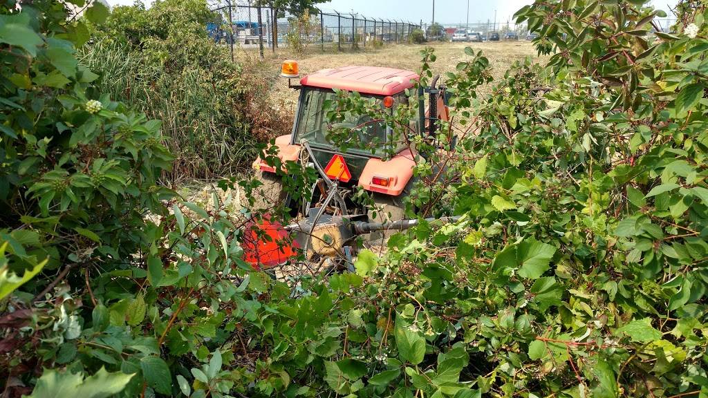 Molson Coors | restaurant | 33 Carlingview Dr, Etobicoke, ON M9W 5E4, Canada | 4166791786 OR +1 416-679-1786