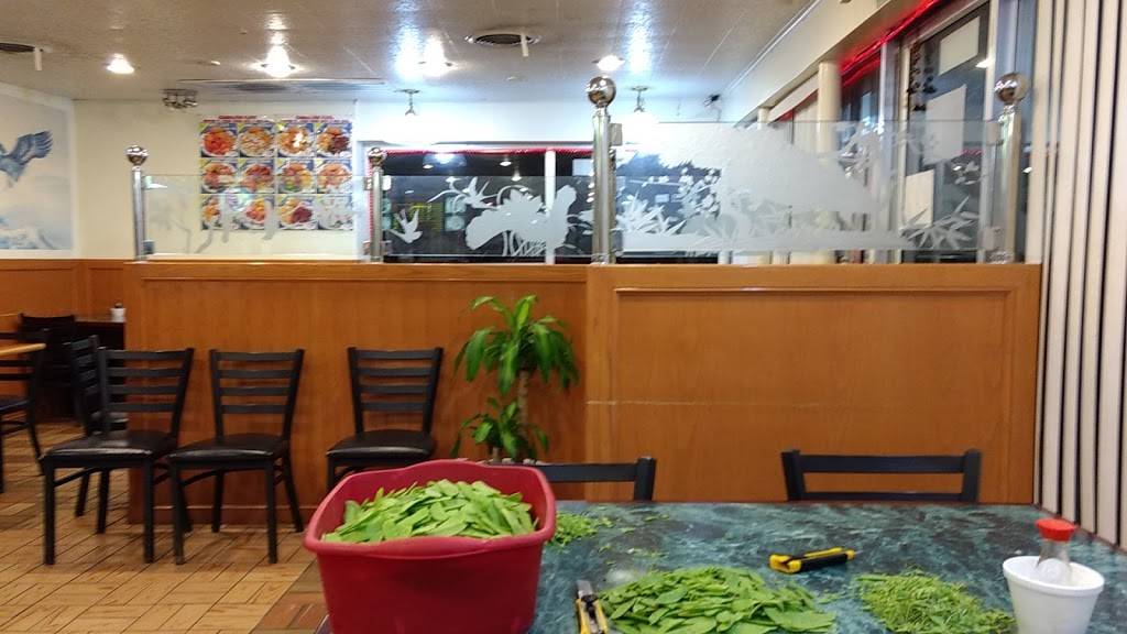 New China Garden | restaurant | 1410 Asheville Hwy, Hendersonville, NC 28791, USA | 8286928087 OR +1 828-692-8087