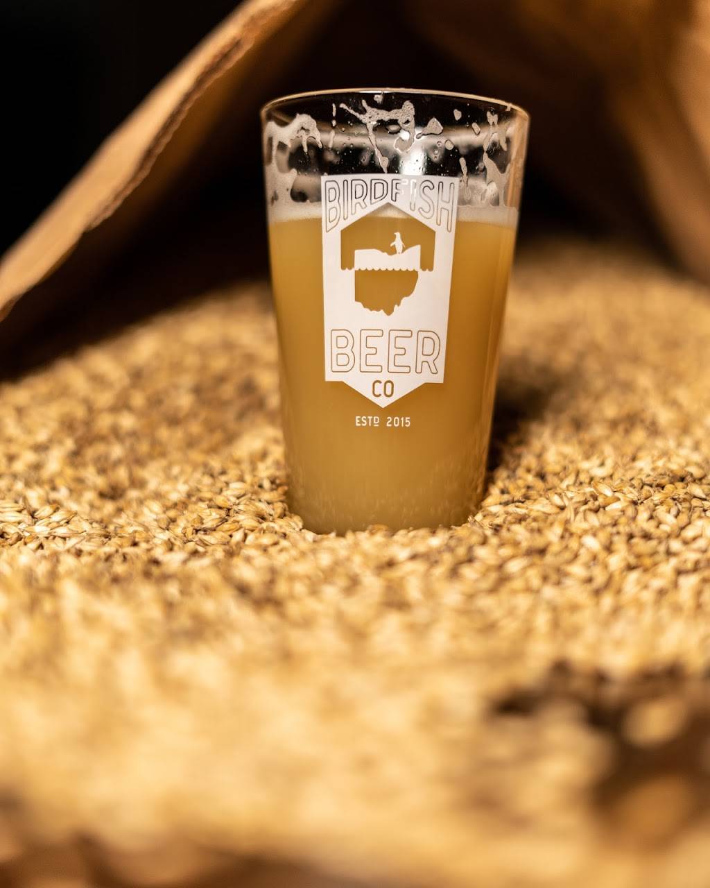 Birdfish Brewing Co. | restaurant | 140 E Park Ave, Columbiana, OH 44408, USA | 3303339385 OR +1 330-333-9385