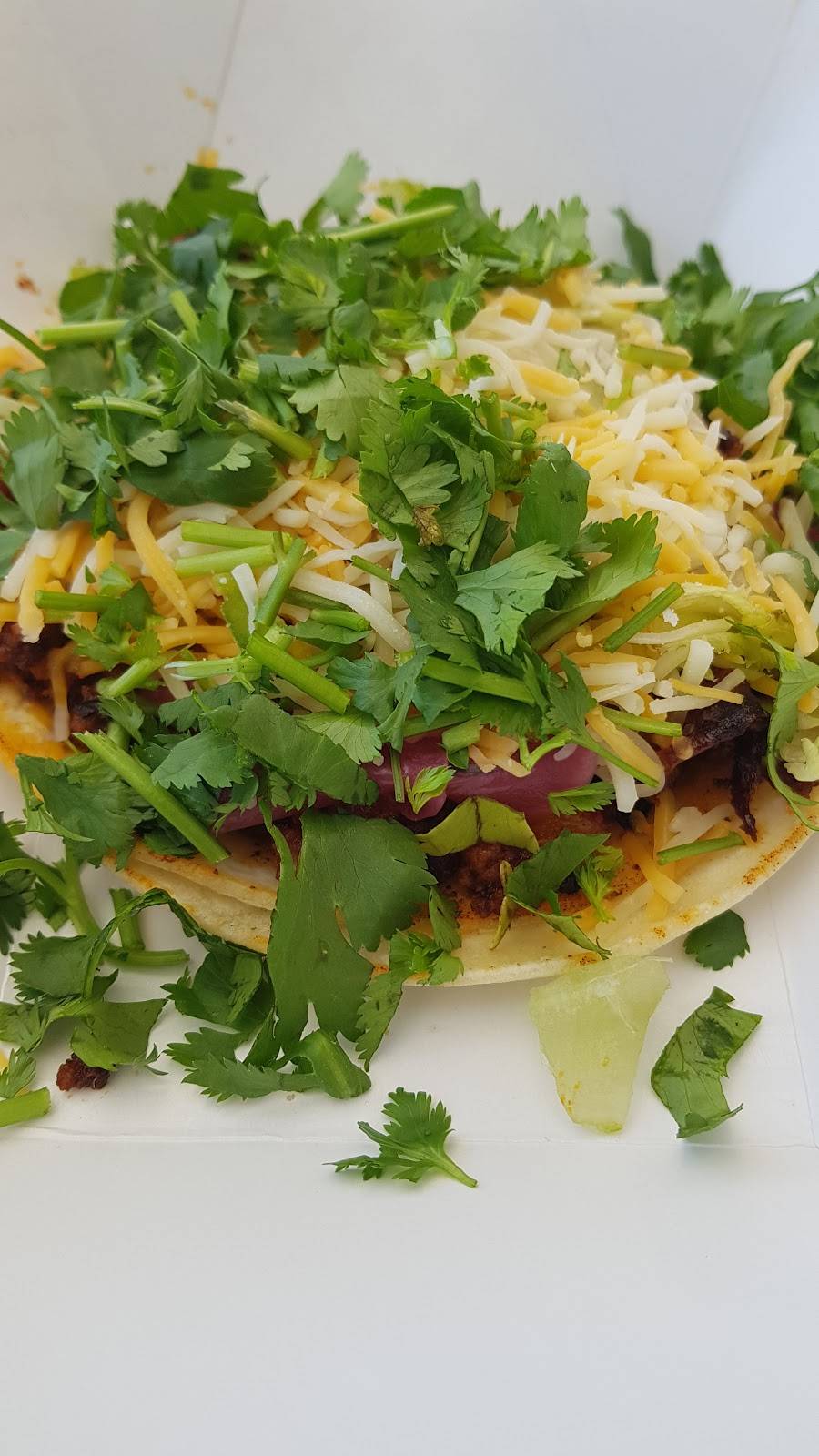 El Hombre Grande | restaurant | 5432 Main St, Lexington, MI 48450, USA | 8107123813 OR +1 810-712-3813