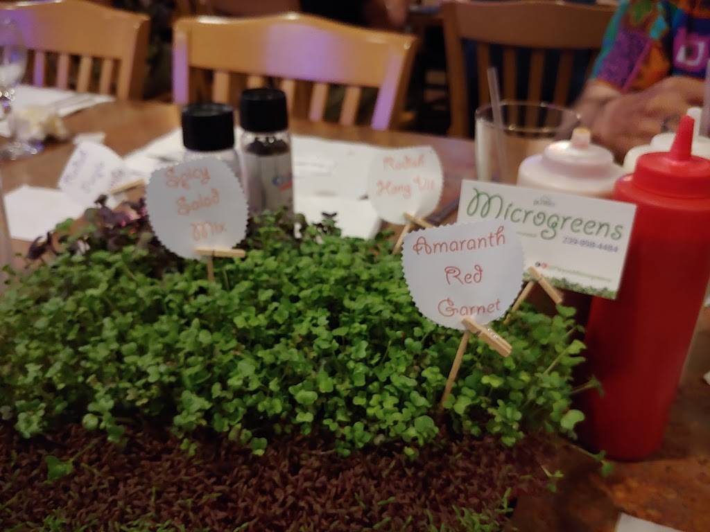 The Clam Bake | restaurant | 16520 S Tamiami Trail, Fort Myers, FL 33908, USA | 2394821930 OR +1 239-482-1930