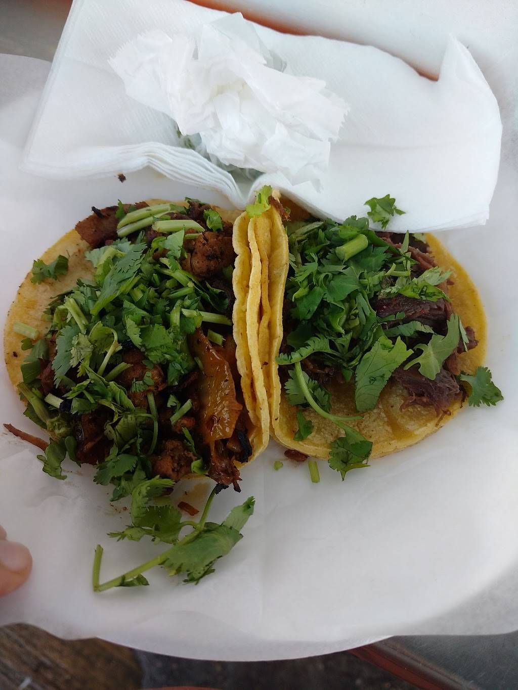 Tacos Tierra Caliente | restaurant | 2003 W Alabama St, Houston, TX 77098, USA | 7135849359 OR +1 713-584-9359