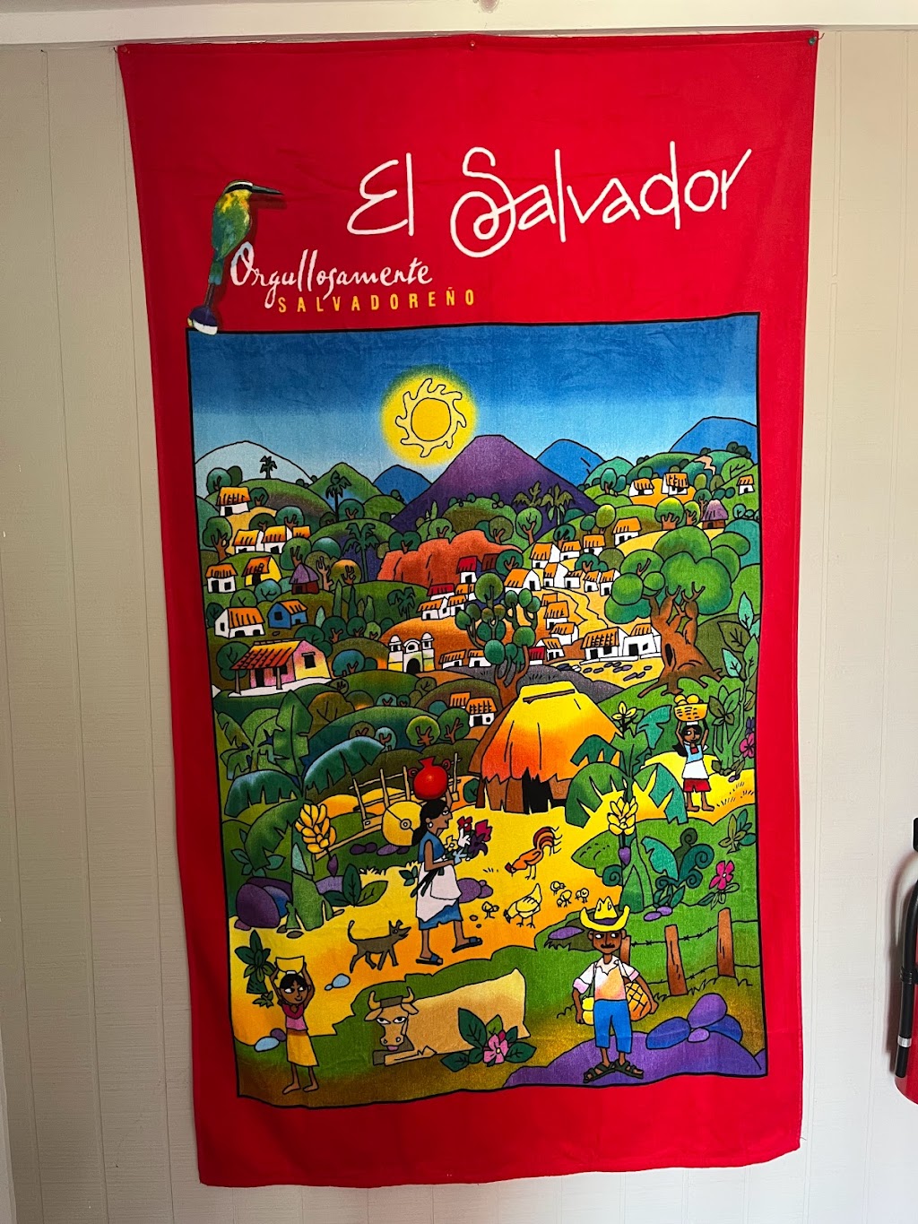 Restaurante Holy Pupusas | restaurant | 1003 Dallas Dr, Denton, TX 76205, USA | 9405141041 OR +1 940-514-1041