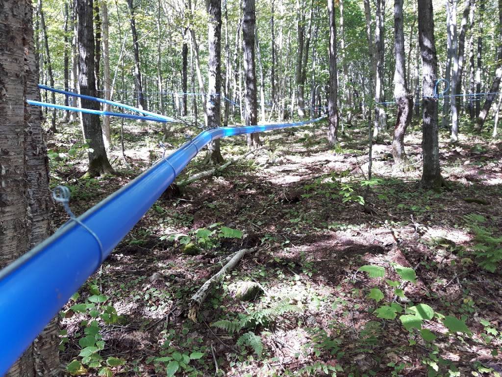 Conceptérable inc. | restaurant | 171 Rang Sainte Anne, Saint-Basile, QC G0A 3G0, Canada | 4183294129 OR +1 418-329-4129