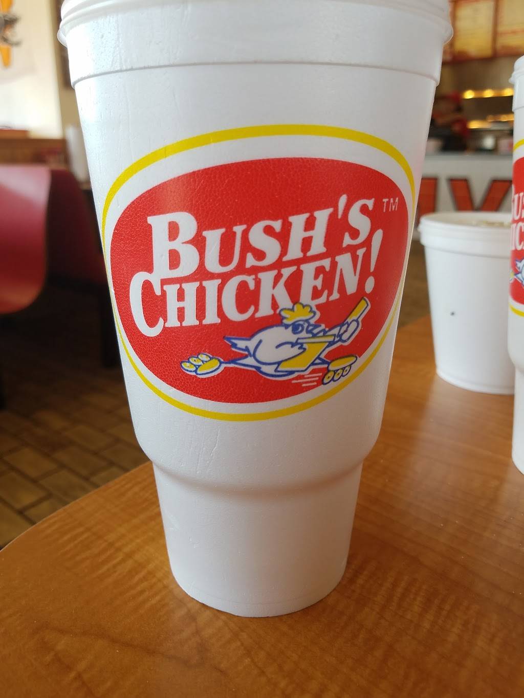 Bushs Chicken | restaurant | 935 Old US Hwy 90 E, Castroville, TX 78009, USA | 8305382800 OR +1 830-538-2800