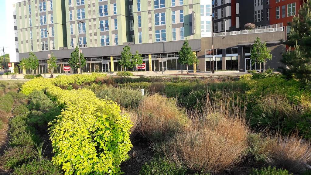 Blaze Pizza | meal takeaway | 1000 Washington Ave SE, Minneapolis, MN 55414, USA | 6122950835 OR +1 612-295-0835