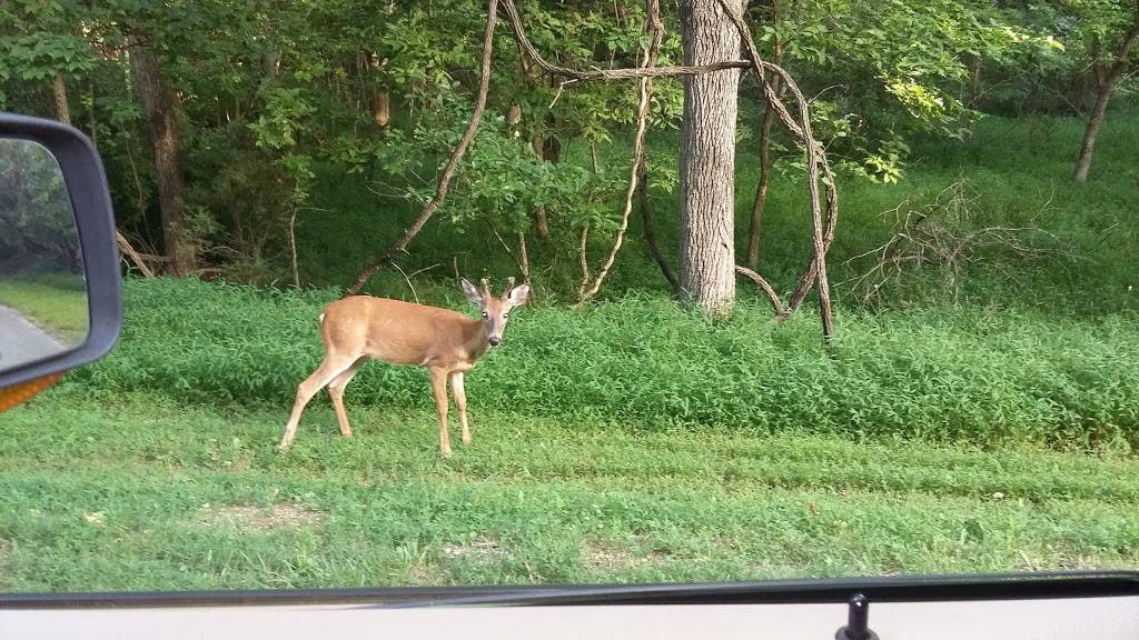 JJs Grill on the Lake | restaurant | 1 Prairie Creek Marina Dr, Rogers, AR 72756, USA | 4799257280 OR +1 479-925-7280