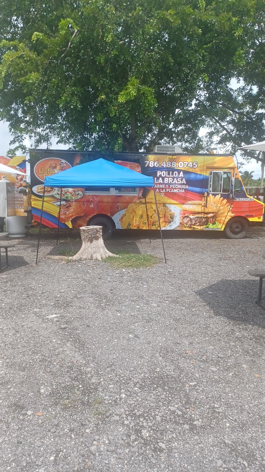 Padronnezlistoelpollo.corp | restaurant | 16405 SW 177th Ave, Miami, FL 33187, USA | 7864880745 OR +1 786-488-0745