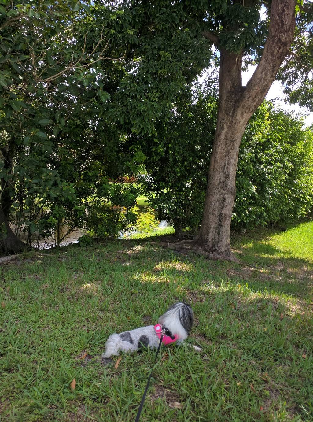 Deer Creek Golf Club | restaurant | 2801 DC Country Club Boulevard, Deerfield Beach, FL 33442, USA | 9544290006 OR +1 954-429-0006