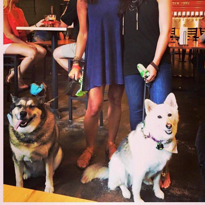 Pour Taproom: Greenville | restaurant | 7 Falls Park Dr, Greenville, SC 29601, USA | 8644127400 OR +1 864-412-7400