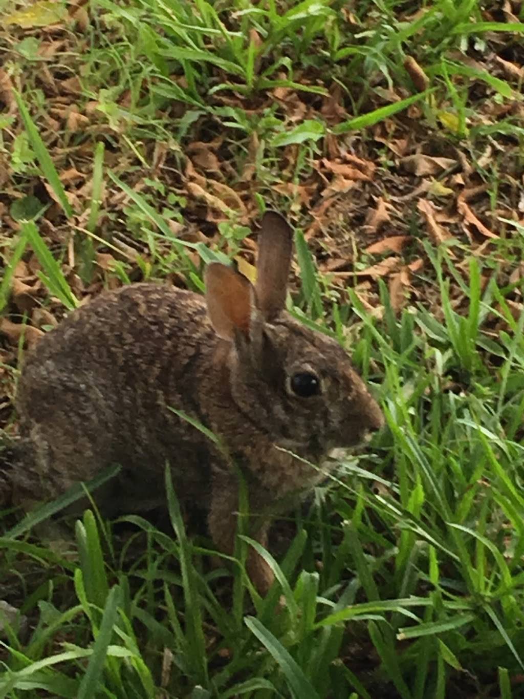 Crumbs Country Grill | restaurant | 1682 Indian Hills Dr, Moore Haven, FL 33471, USA | 2566166284 OR +1 256-616-6284