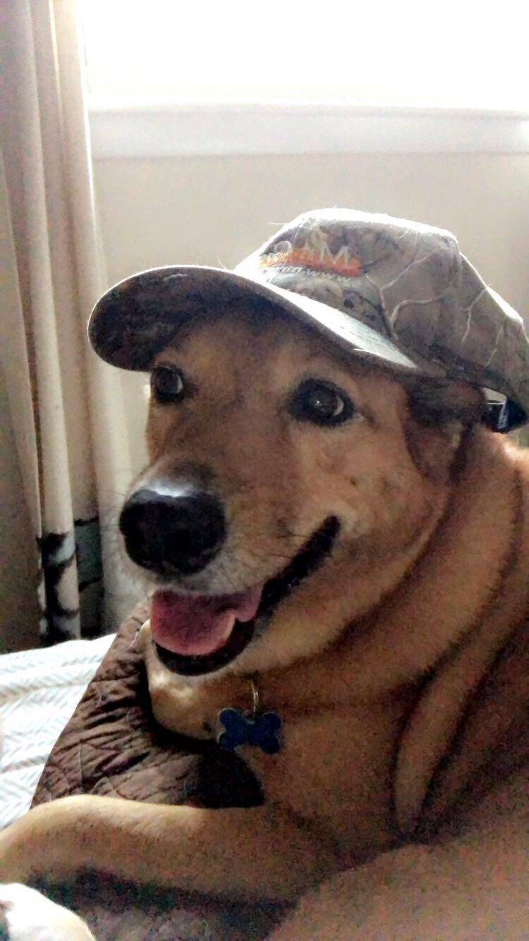 Mr. Grill LLC | restaurant | Bennett Road, Watertown, MA 02472, USA | 6179247455 OR +1 617-924-7455