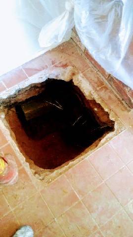 Pizza Hut | restaurant | 2335 W Shady Grove Rd, Irving, TX 75060, USA | 9723991616 OR +1 972-399-1616