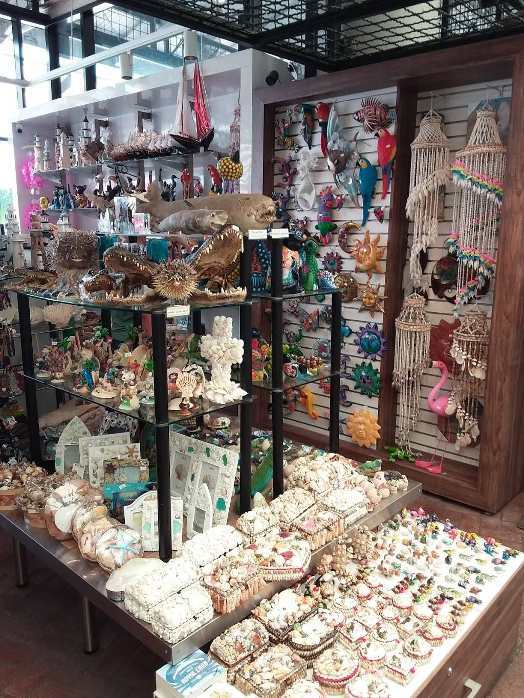 Subway | restaurant | 6542 Collins Ave, Miami Beach, FL 33141, USA | 3057638485 OR +1 305-763-8485