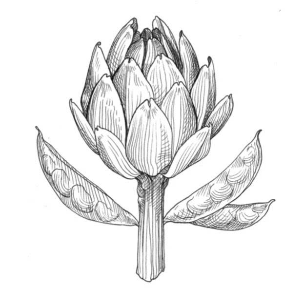 Harvey and Thistle | restaurant | 742 Orchard St, Santa Rosa, CA 95404, USA | 8025986235 OR +1 802-598-6235